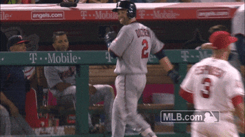 brian dozier twins GIF by MLB
