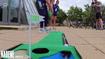 Golfing Hole In One GIF by Northern Ireland