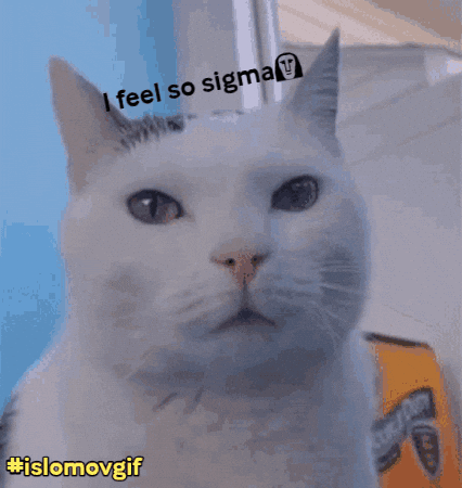 White Cat GIF