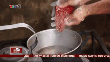 changchang-03d2  GIF