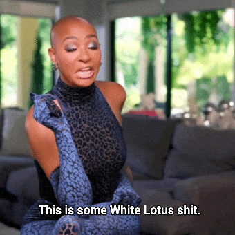 Real Housewives Of Miami GIF