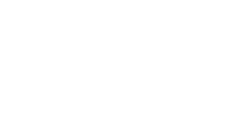 DandelionandDriftwood Sticker