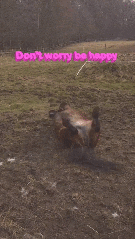 Dont Worry Be Happy GIF by Bohemia Outdoor