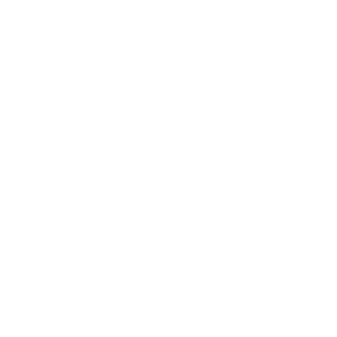 Fujifilm Brasil Sticker