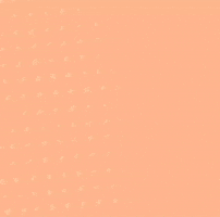 Eveiza Silhueta Plus GIF