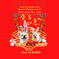 Chinese New Year Good Luck GIF by Sad Potato Club - Find & Share on GIPHY
