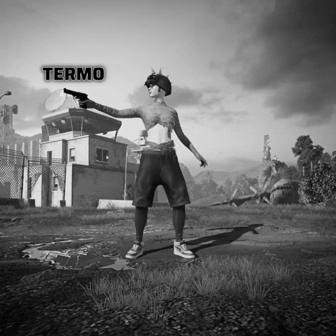 Termo GIF