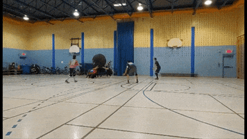 Sport GIF