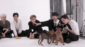 Stray Kids Stay GIF by BuzzFeed