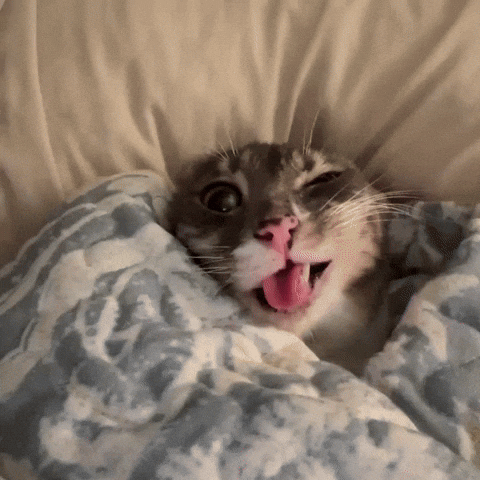 Sleepy Bedtime GIF