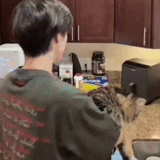 Cat Eaj GIF