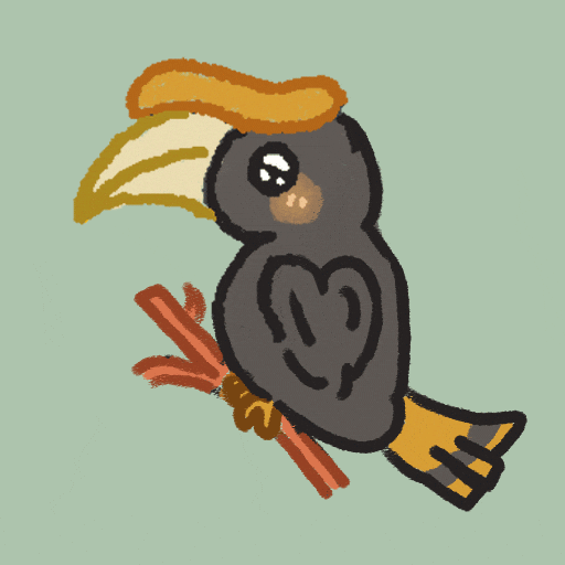 Rhinoceros Hornbill Bird GIF