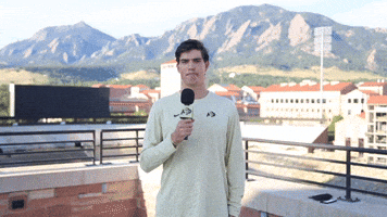 Hugo Mic