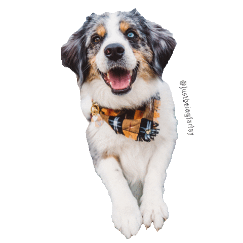 JustBeingFarley Sticker