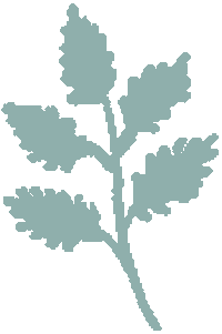 Flower 花 Sticker
