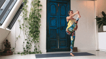 Yoga Point Den Bosch GIF