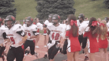 siena football westsidetelevision GIF