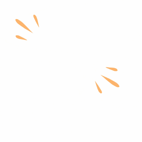 GIF by Noy Media Group