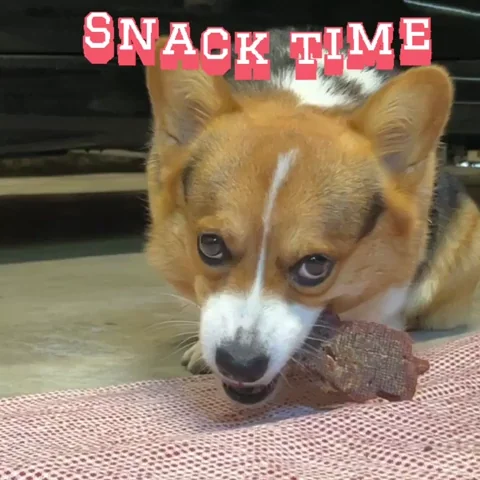 giphy.webp?cid=ecf05e47xz3z1ol1s3s8f7mp1