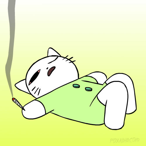 cat smoking weed gif