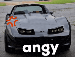 Angy GIF