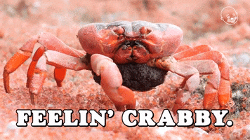 Crab GIF by Eternal Family