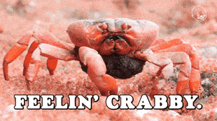 crabby meme gif