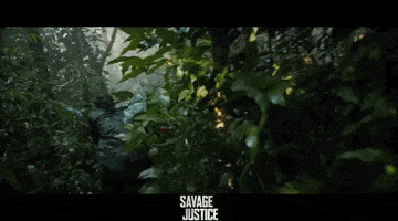 Action Movie Forest GIF by Signature Entertainment