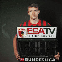 Bundesliga Gunther GIF by FC Augsburg 1907