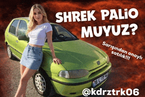 Araba Palio GIF