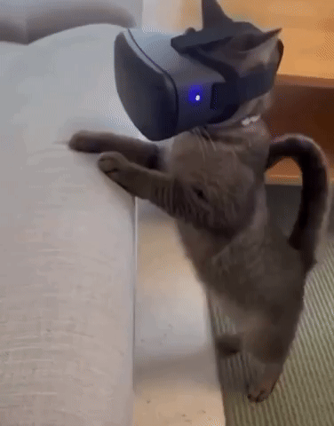 Love GIF