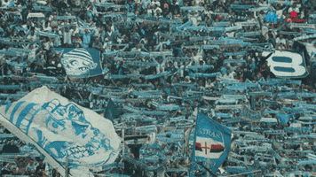 Dodgers Ultra GIF by Olympique de Marseille