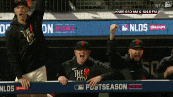Yelling San Francisco GIF by MLB