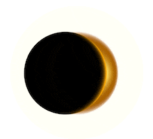 Solar Eclipse Gold Sticker by Purdue University
