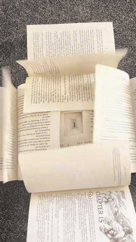 Words GIF