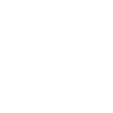 Daytona 500 Nascar Sticker by Stillhouse