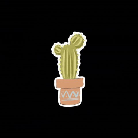 Cactus Potted Plant GIF