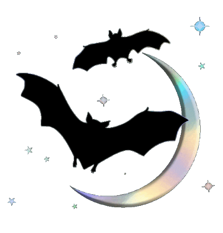 Black Moon Halloween Sticker by blackmooncosmetics