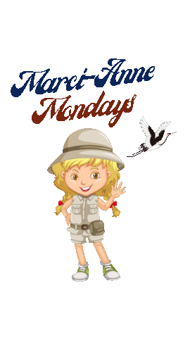 Spinnaker Resorts Sticker