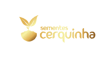 Scdourado Sticker by Sementes Cerquinha