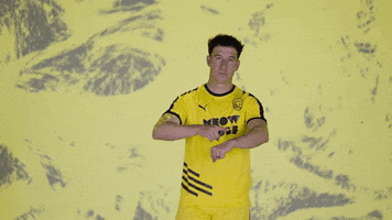 Times Up Wolf GIF by New Mexico United