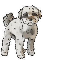 Someday Society Salon Sticker