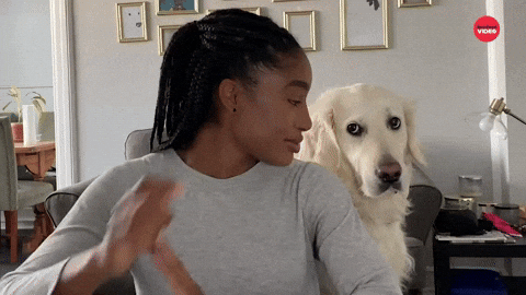  🐾 How Do Dogs Choose Their Favourite Human?