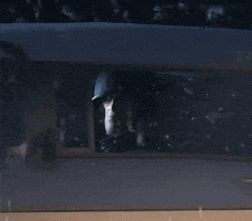 Team Fortress 2 Soldier GIF