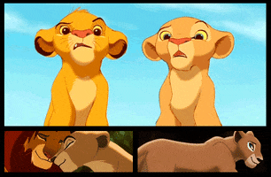 the lion king love GIF