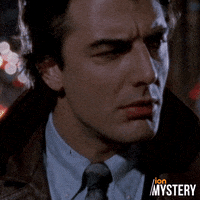 Law And Order Omg GIF by ION Mystery