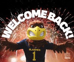 Kent State Regional Campuses GIF