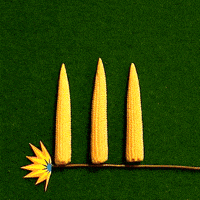 Ignite Stop Motion GIF by PES - Find & Share on GIPHY Ignite Stop Motion GIF by PES - Find & Share on GIPHY