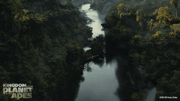 Planet Of The Apes GIF by 20th Century Studios