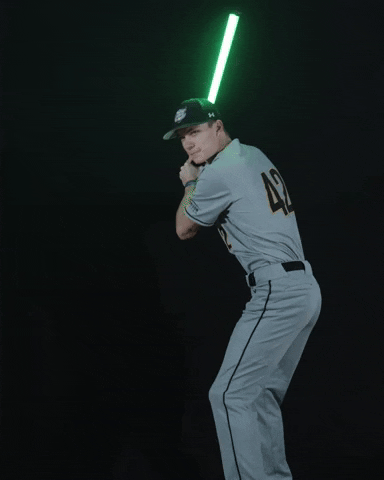 Baseball Swing GIF by Purdue Fort Wayne Athletics
